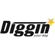 Diggin' Your Dog